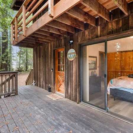 Grandma'S Cabin By The Sea